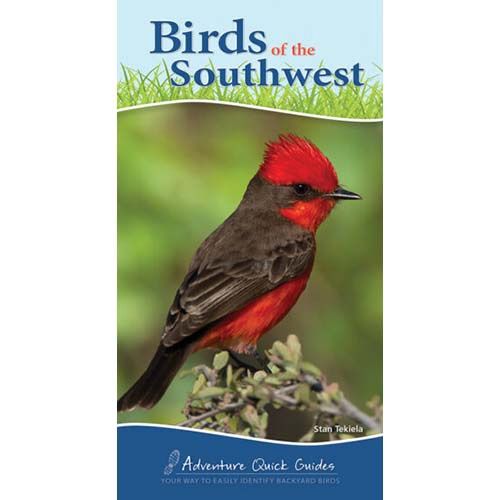 Birds Of The Southwest