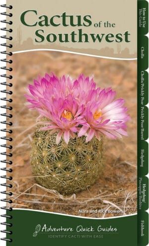 Cactus Of The Southwest Quick Quide