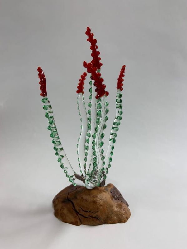 Glass Ocotillo