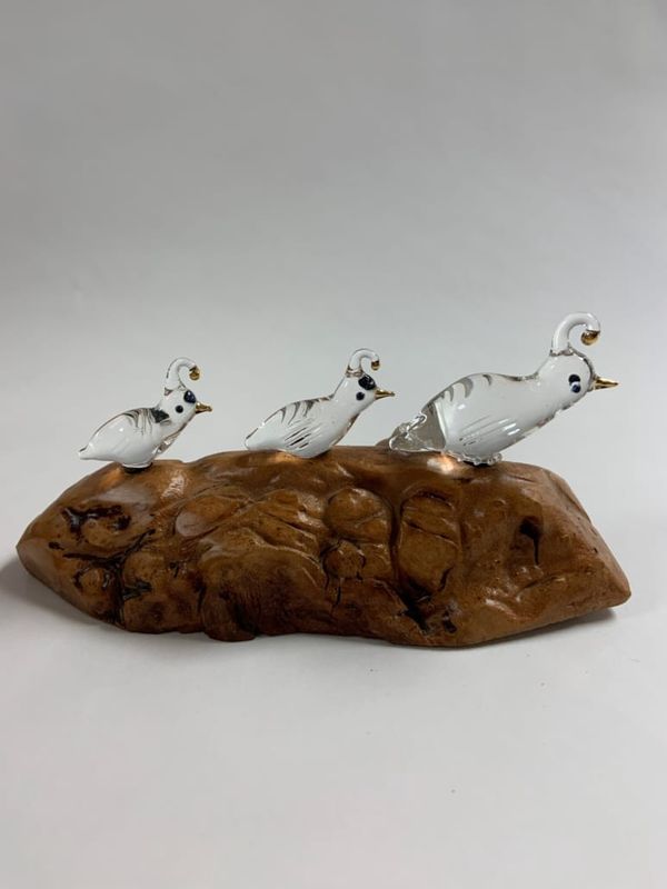 Glass Quail Family