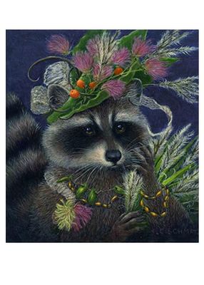 Greeting Card - Raccoon Evening