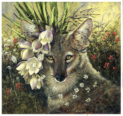 Greeting Card, Death Valley Beauty