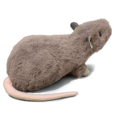 Douglas Ralph Rat