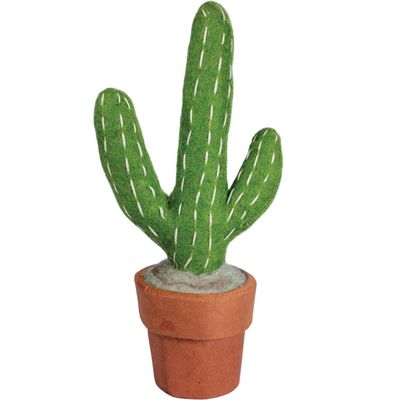Small Saguaro Cactus