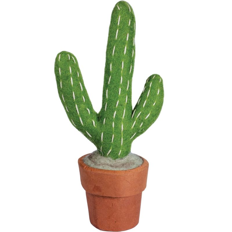 Small Saguaro Cactus