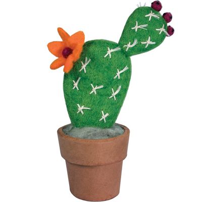 Small Prickly Pear Cactus