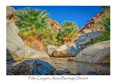 Card, Palm Canyon