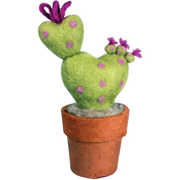Small Love Cactus