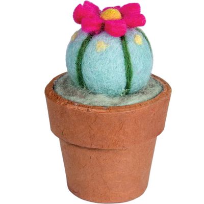 Small Peyote Cactus
