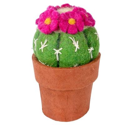 Small Pin Cushion Cactus