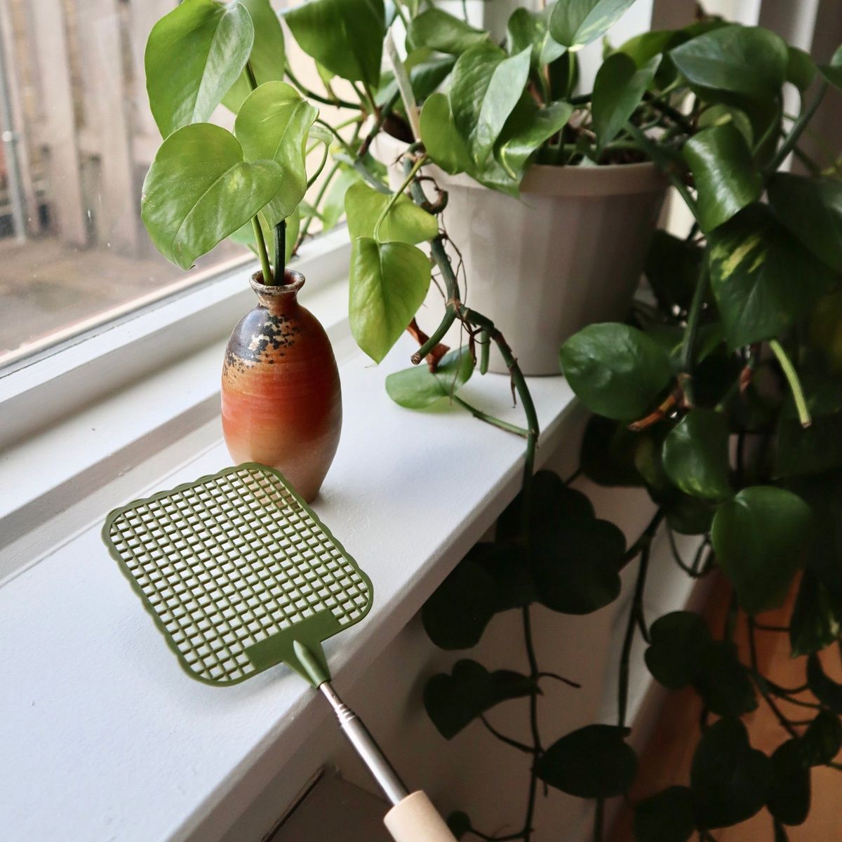 Extendable Fly Swatter