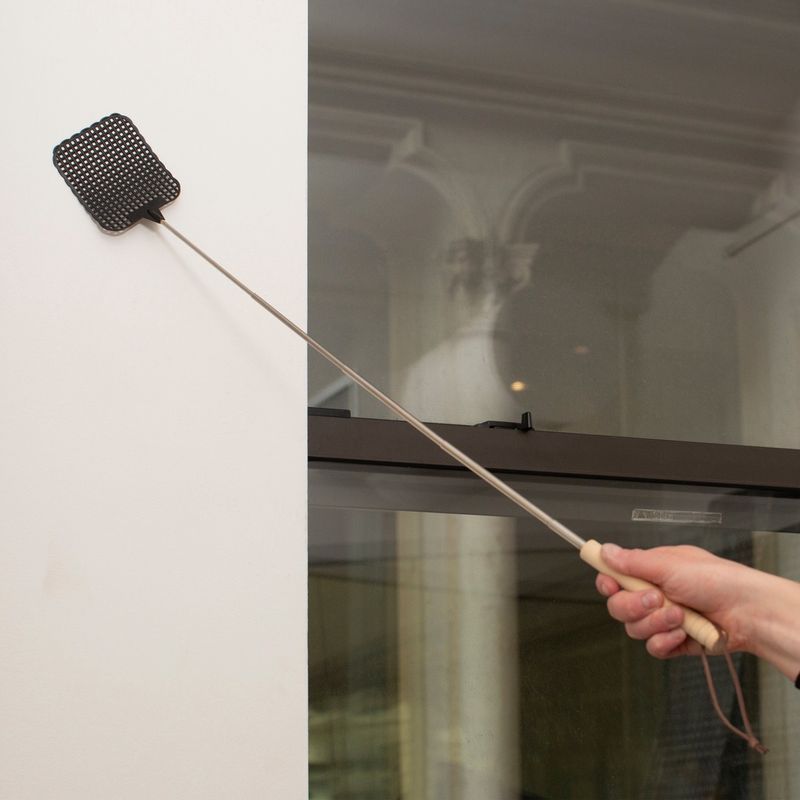 Kikkerland Extendable Fly Swatter