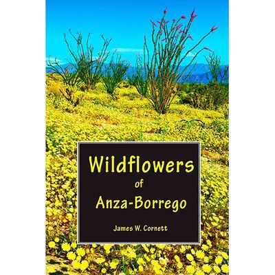 Wildflowers of Anza-Borrego