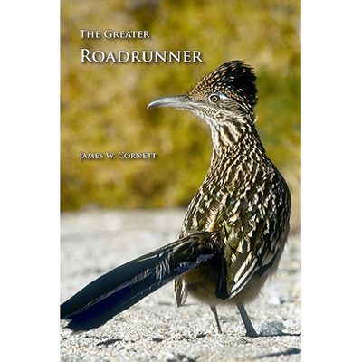 Greater Roadrunner