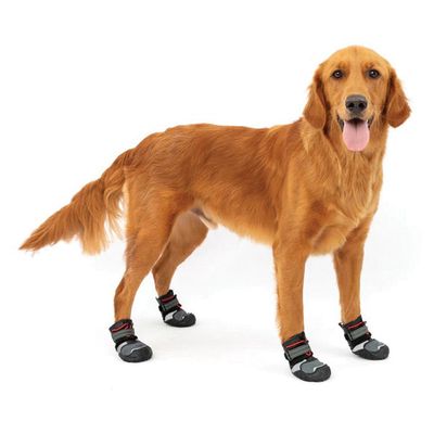 Blaze Dog Boot 2-Pack