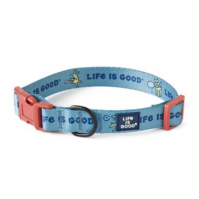 Sports Icons Dog Collar