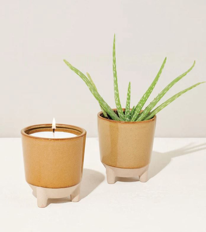 Glow &amp; Grow Candle Grow Kit-Desert Oasis