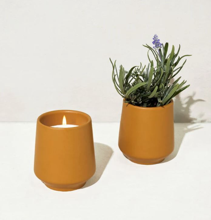 Rooted Candle Grow Kit-Lavender &amp; Cedarwood