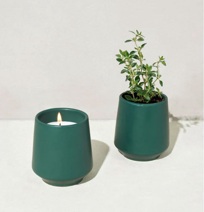 Rooted Candle Grow Kit-Thyme &amp; Tonka Bean