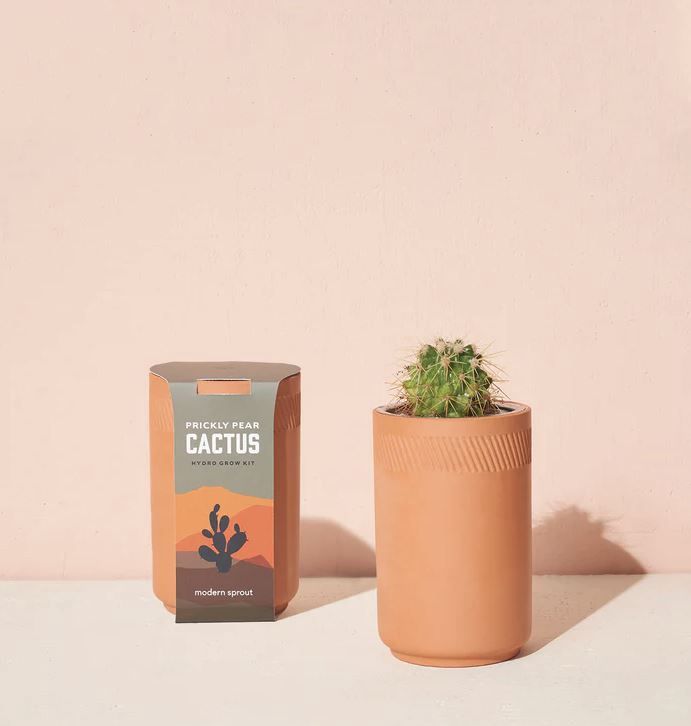 Terra Cotta Grow Kit-Prickly Pear Cactus