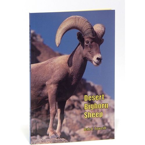 Desert Bighorn Sheep