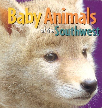 Baby Animals Of The Southwest Book