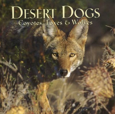 Desert Dogs: Coyotes, Foxes &amp; Wolves