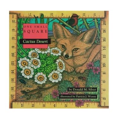 One Small Square: Cactus Desert