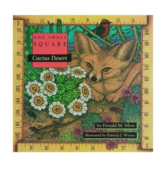 One Small Square: Cactus Desert