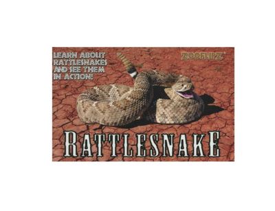 Zooflipz: Rattlesnake