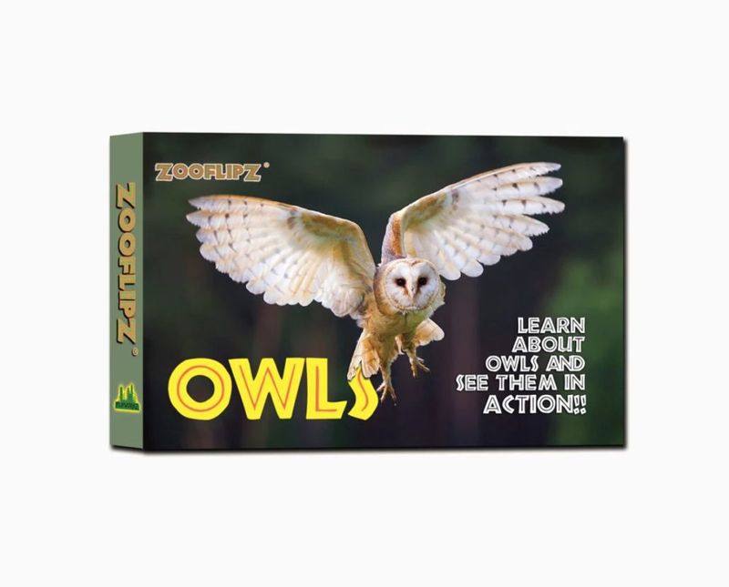 Zooflipz: Owls
