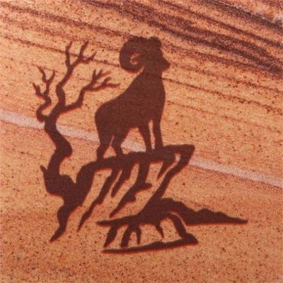 Coaster, Spectrum-Bighorn Sheep