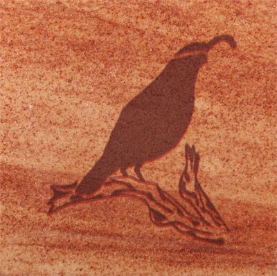Coaster, Spectrum-Quail
