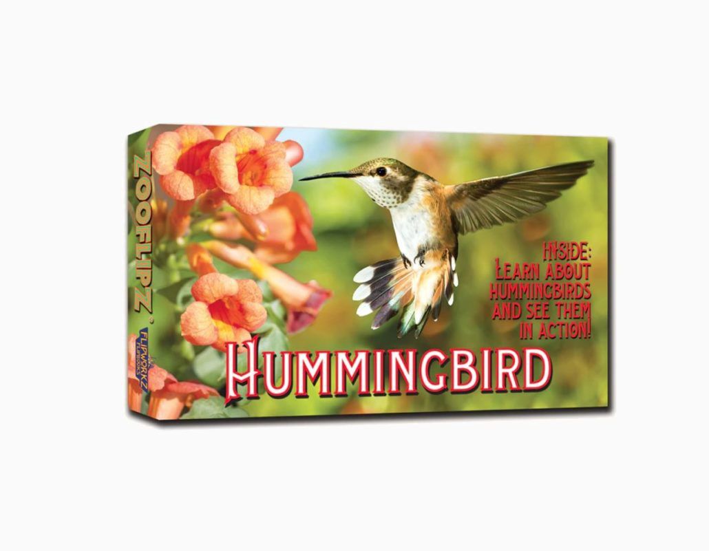 Zooflipz: Hummingbird