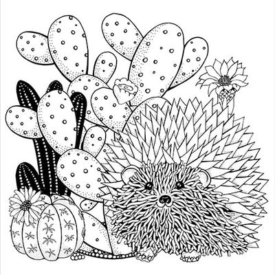 Peter Pauper Press Coloring Book-Succulents