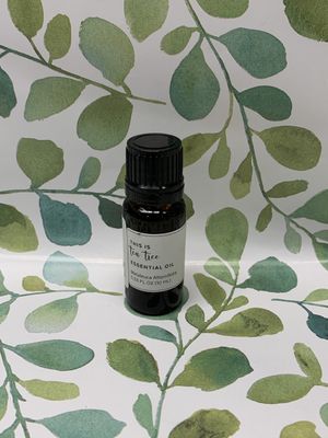 Essential Oil - Tea Tree