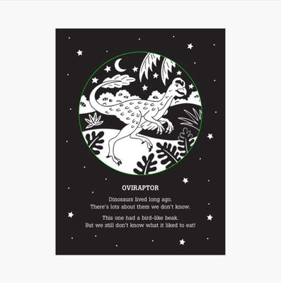 Peter Pauper Press Shadow Book-Dinos After Dark