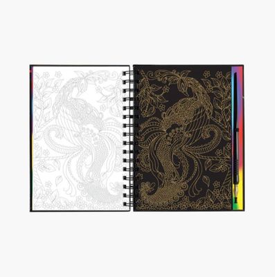 Peter Pauper Press Scratch &amp; Sketch Book-Extreme World of Birds