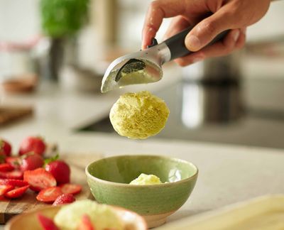 Elevate Ice Cream Scoop