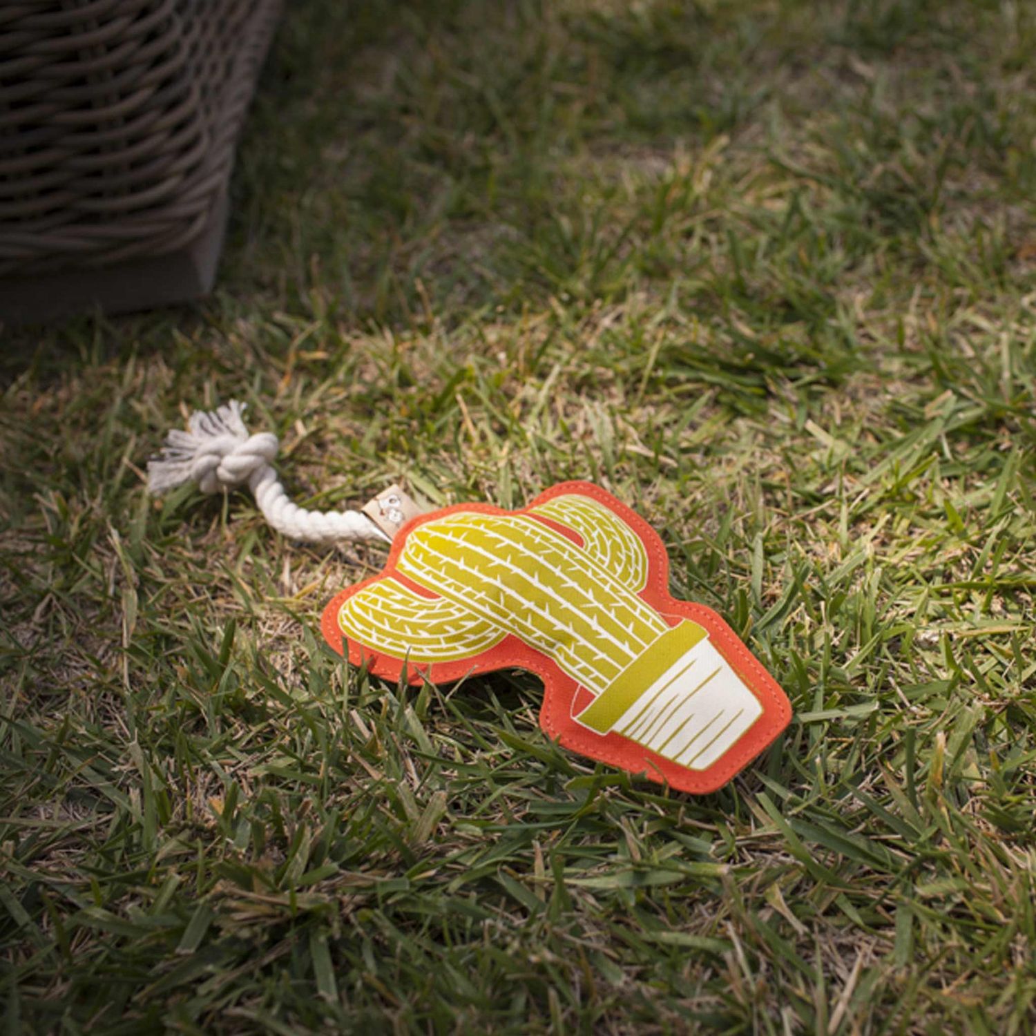 Rope Toy-Cactus