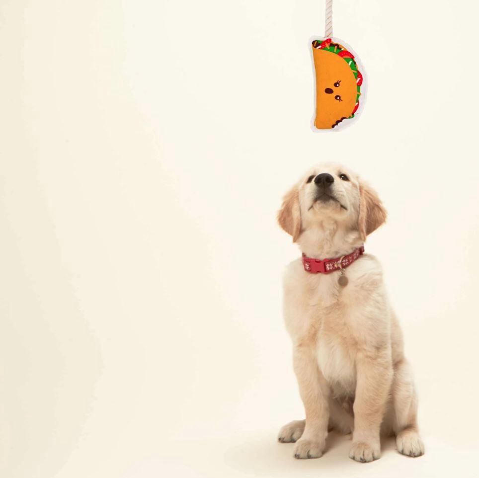 Rope Toy - Taco