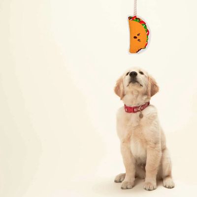 Rope Toy - Taco