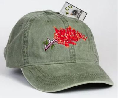 Eco Cap, Ocotillo - Borrego Namedrop