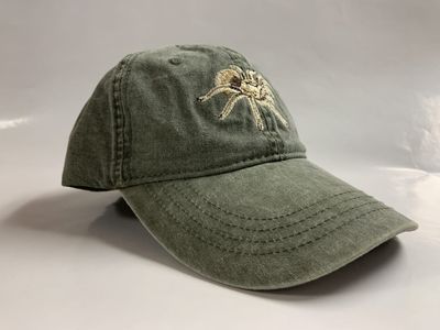 Eco Cap, Desert Tarantula - Borrego Namedrop