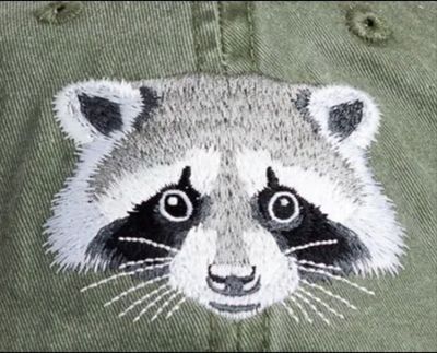 Eco Cap, Racoon - Borrego Namedrop