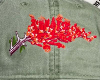 Eco Cap, Ocotillo - Borrego Namedrop