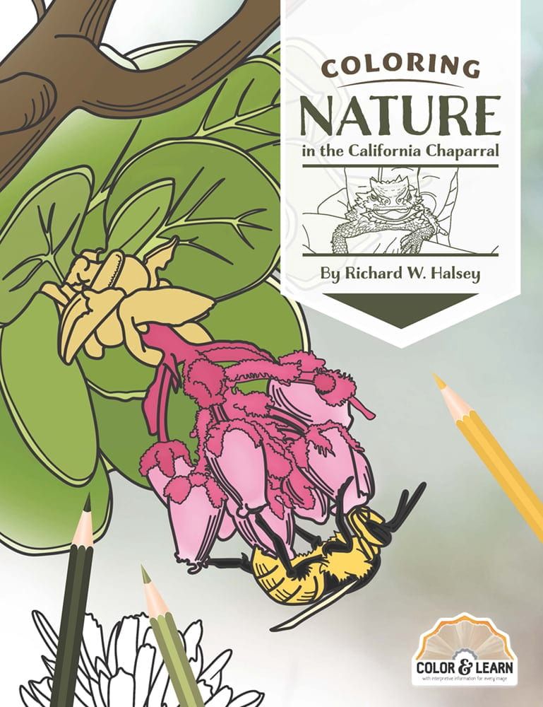 Coloring Book Nature Of The California Chaparral