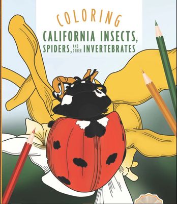 Coloring Book - California Insects, Spiders