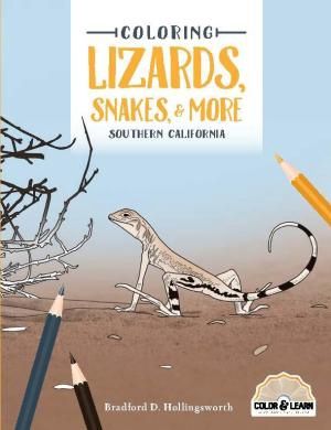 Coloring Book Lizards, Snakes &amp; More