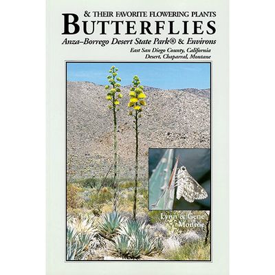 Butterflies and Their Favorite Flowering Plants